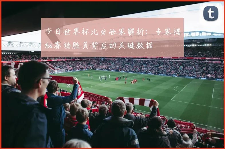今日世界杯比分独家解析：专家揭秘赛场胜负背后的关键数据